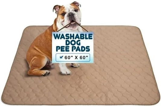 Washable Waterproof Reusable Dog Pee Pads, 60x60 Inches, Single Pack