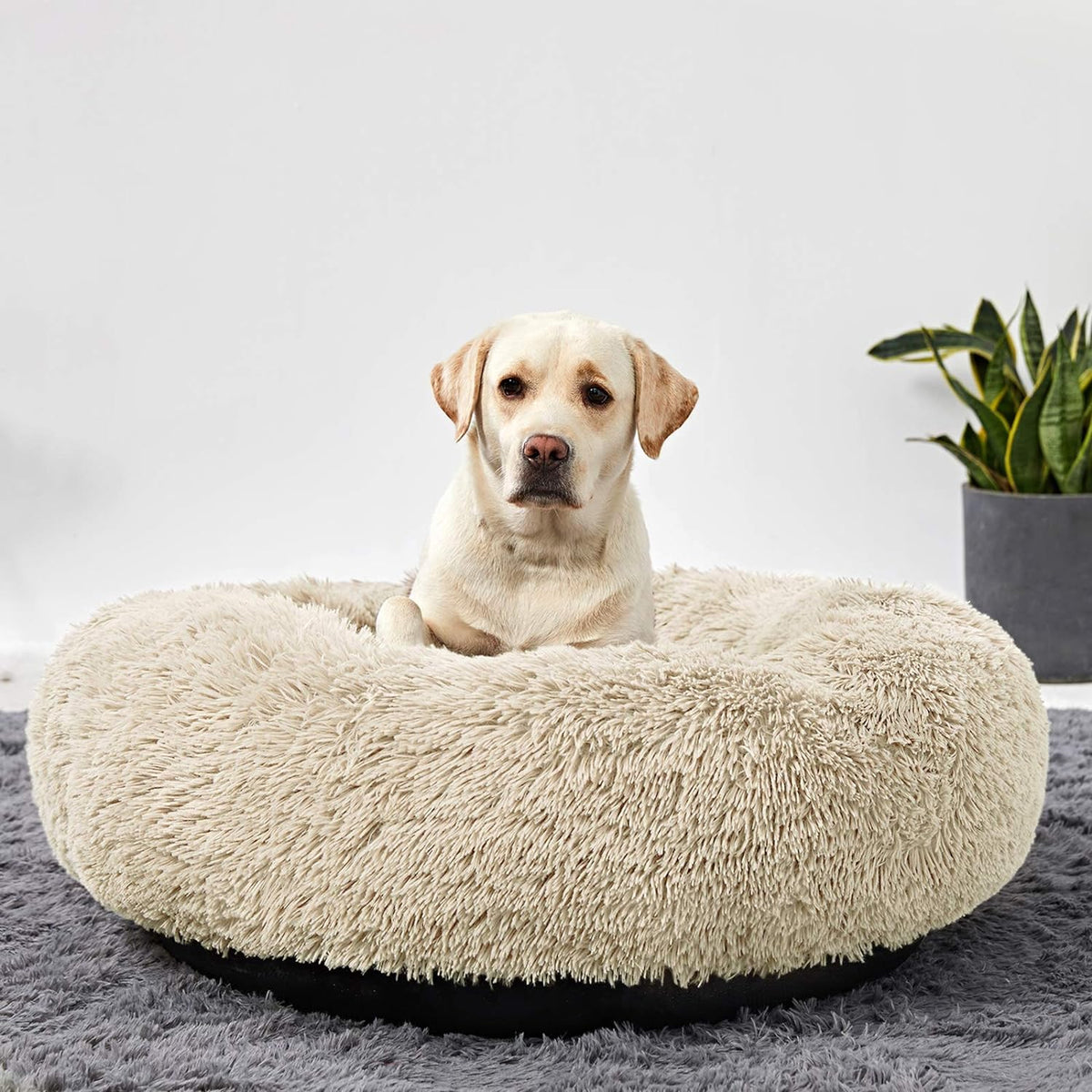Large Washable Donut Dog Bed - Comfortable Calming Cuddler
