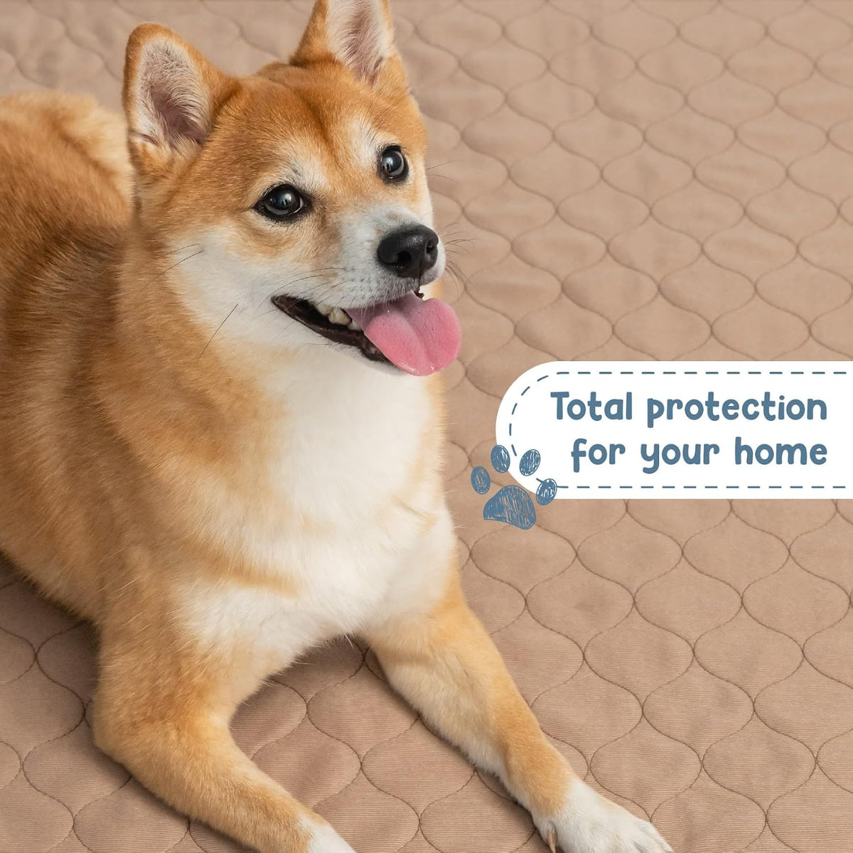 Washable Waterproof Reusable Dog Pee Pads, 60x60 Inches, Single Pack