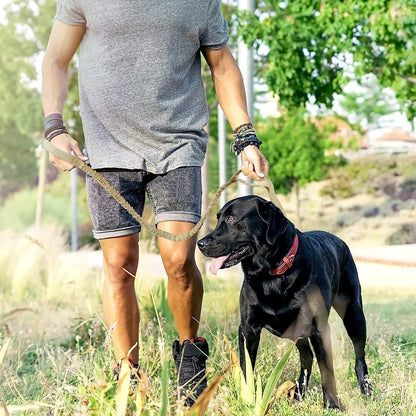 Premium Bungee Dog Leash - Heavy Duty with Shock Absorption & Padded Handles for Ultimate Comfort